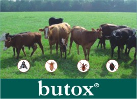 Click on image to visit  Butox product information page